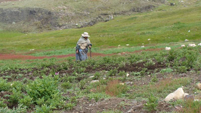 Illampu Trek Steves (181).JPG